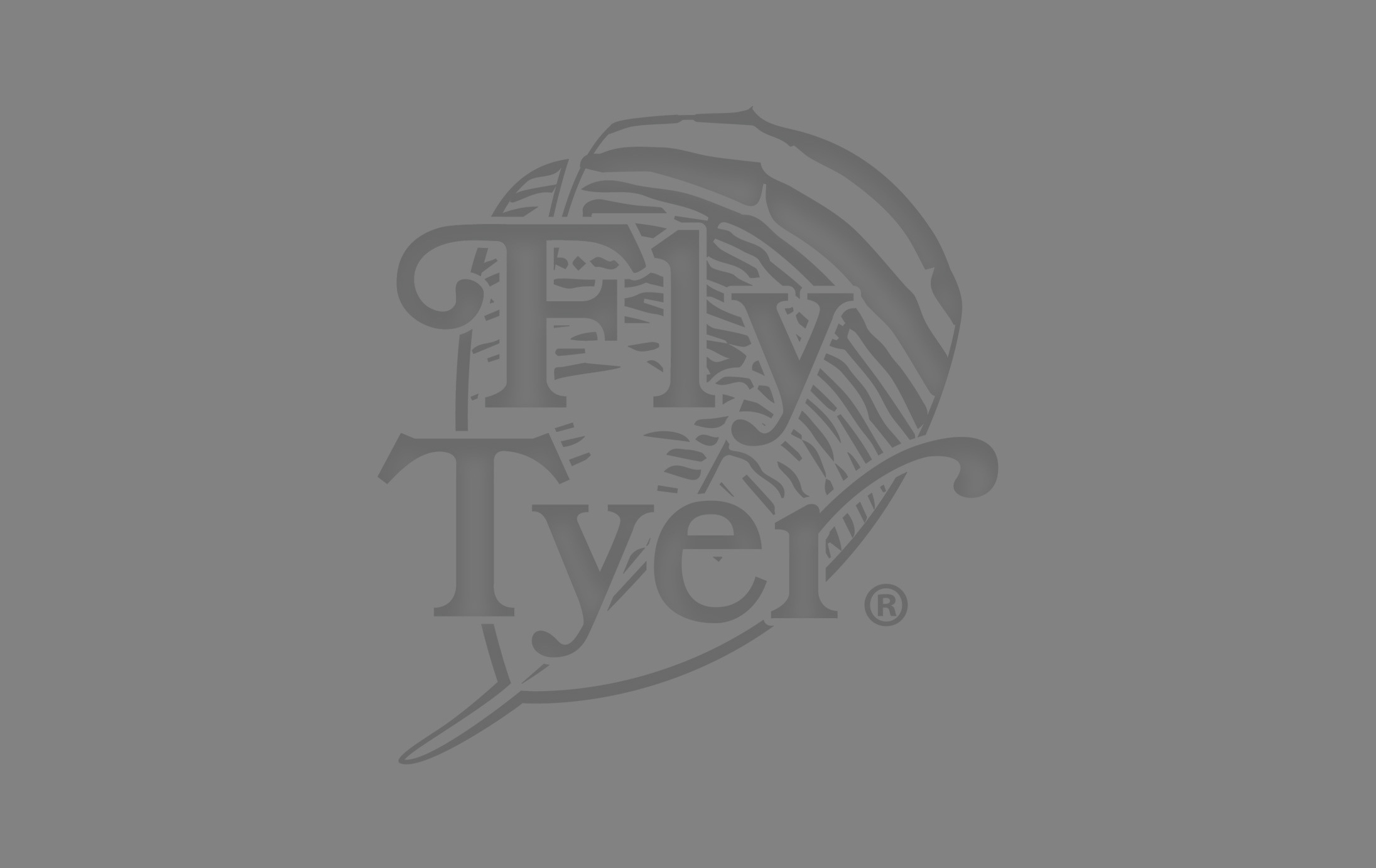 No Image Available for Travel & Fly Guide