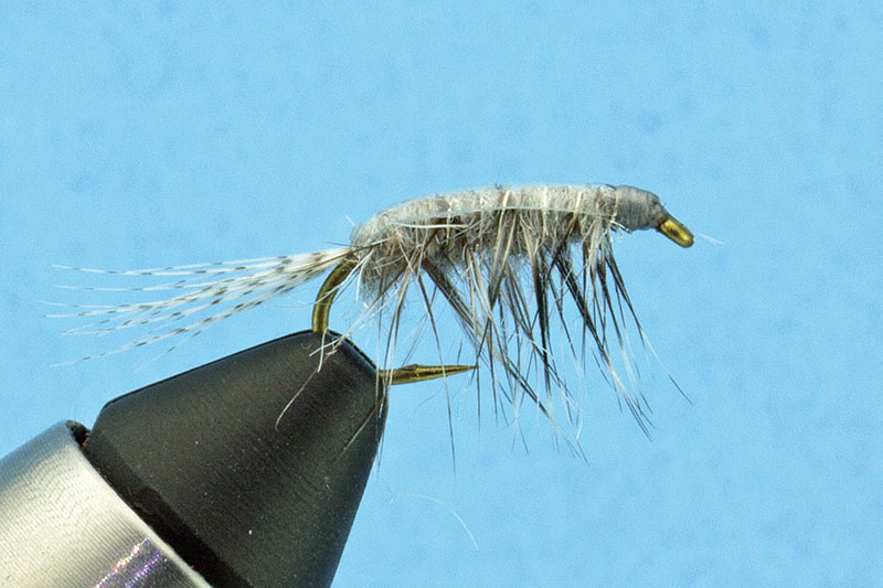 Gray-Scud fly