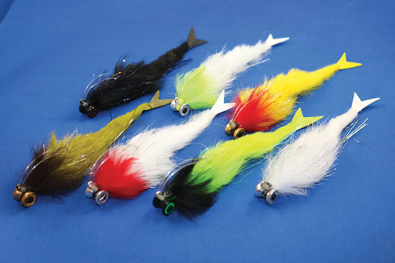 wild hare flies