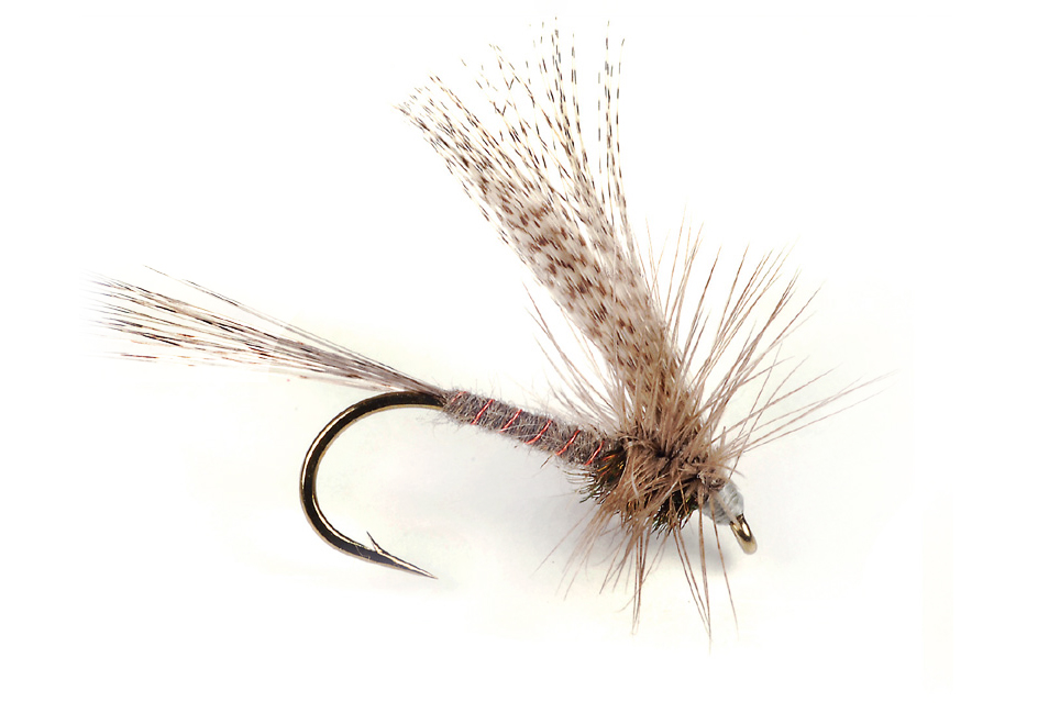 Spring Patterns for the Rocky Mountain West | Fly Tyer