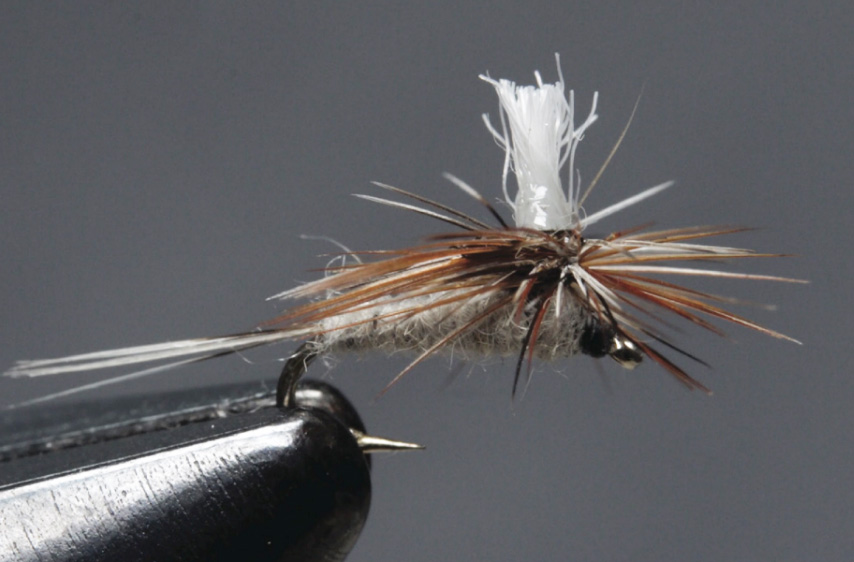 Beginner's Masterclass with Tim Flagler - Tips for Tying Small Flies