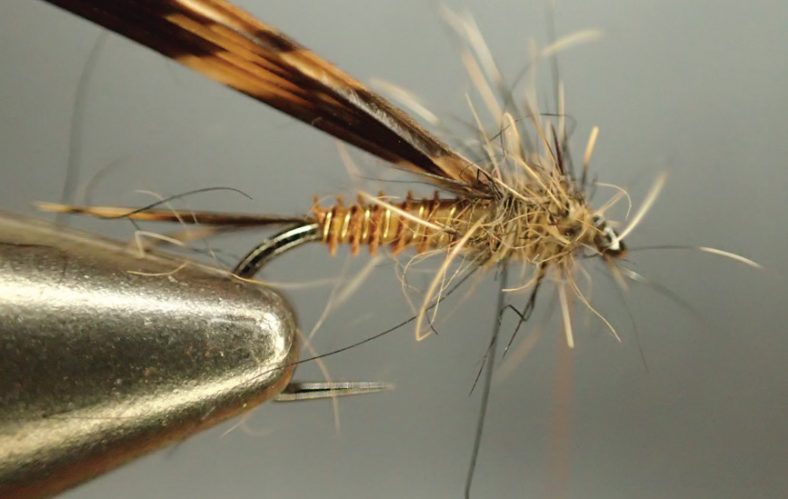 Tips for Tying with Turkey Biots | Fly Tyer