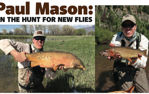Paul Mason