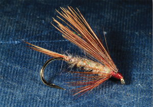 Simple Wet Flies for Uncommon Results | Fly Tyer