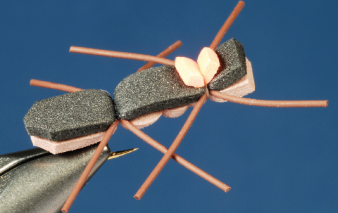chernobyl ant fly