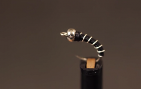 zebra midge