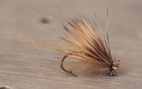 CDC & Elk Dry Fly