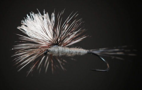 parachute adams fly