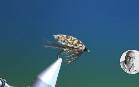 March Brown wet fly