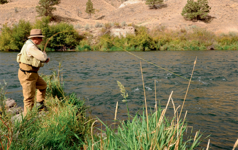 wet fly fly fishing