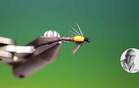 pheasant tail nymphs