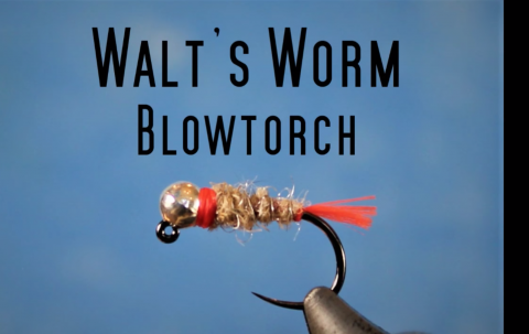walt's worm blowtorch