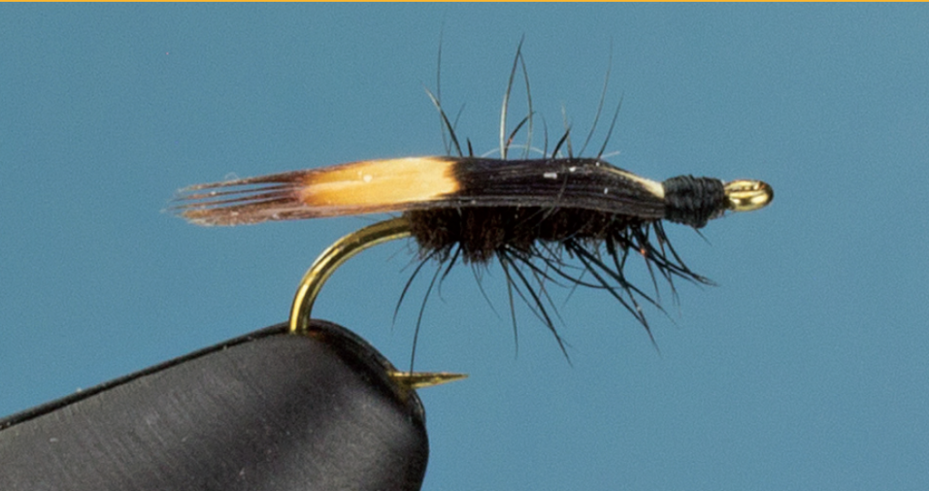 Ant Bodies Bugs/Fly Tying Size 16/18 Between 75 and 100 Brown 