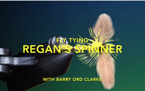mayfly spinner