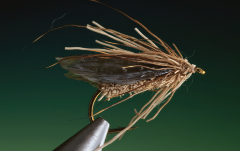 deer-hair caddis