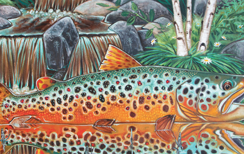trout