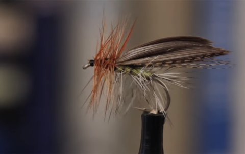 henryville special