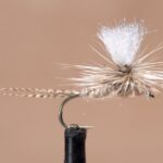 Light Cahill Parachute