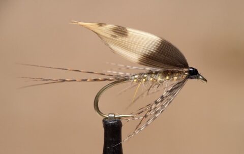 Welsh march brown wet fly