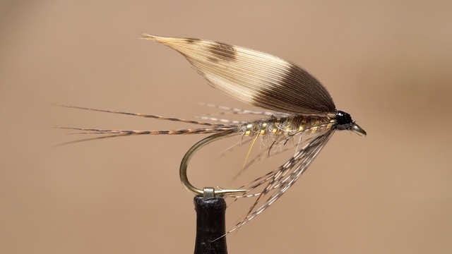 Welsh march brown wet fly